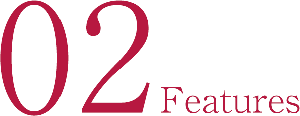02 Features