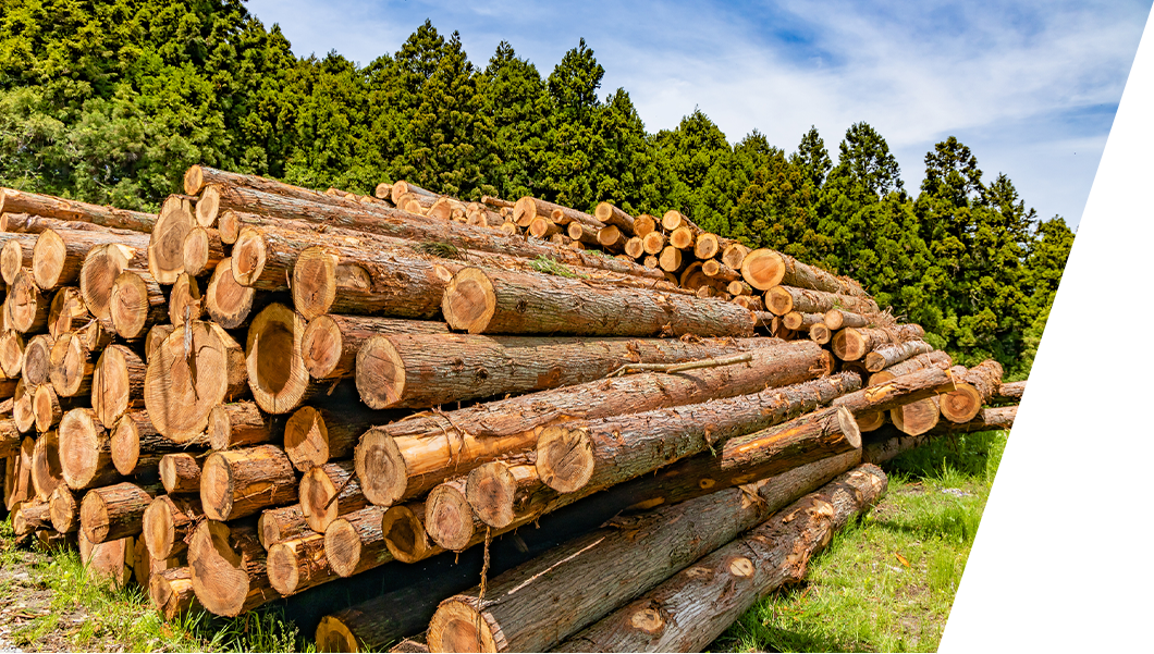 設備や建材を可能な限りまとめて発注することによる資材コストの削減