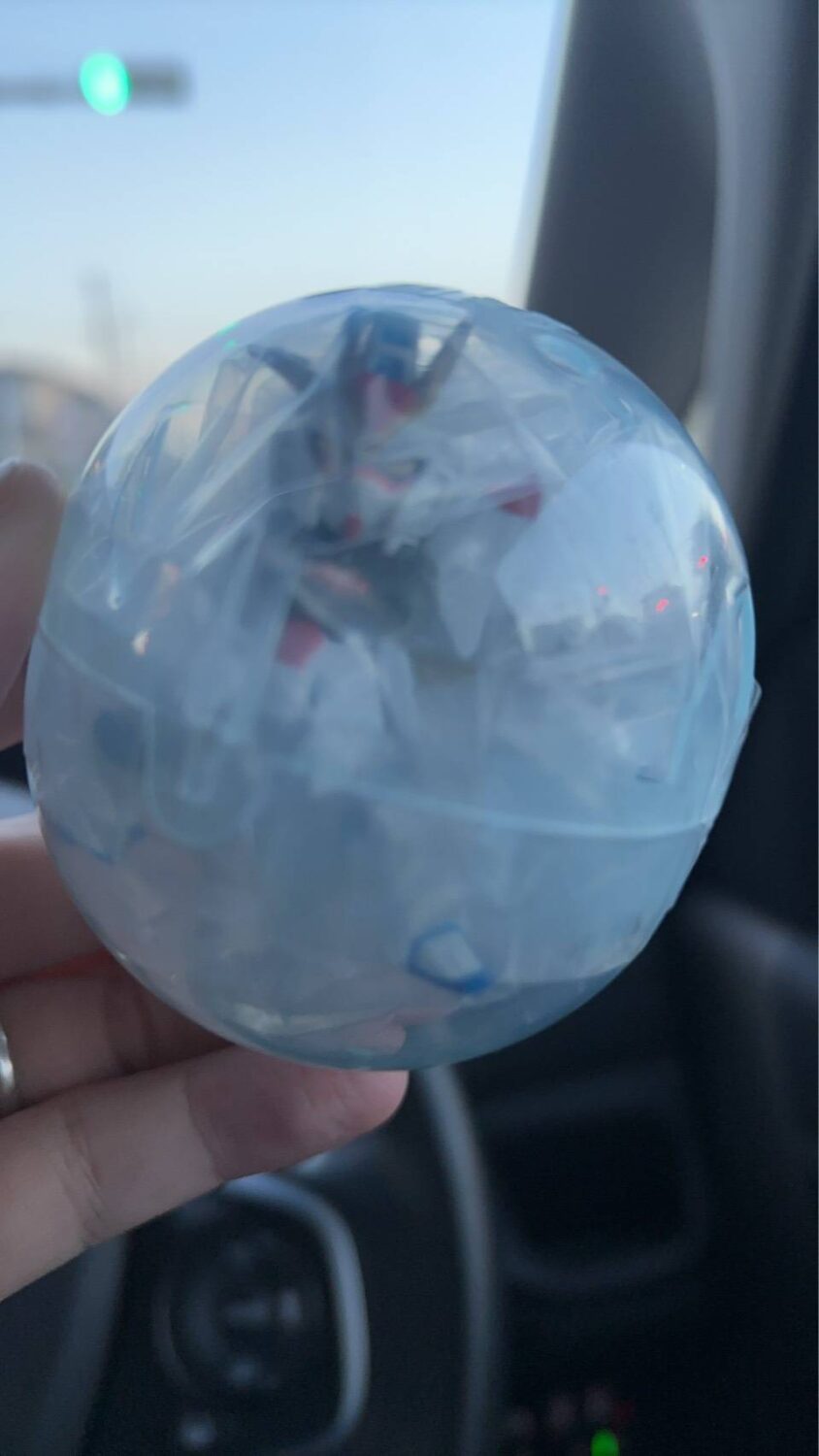 偶然のカプセル