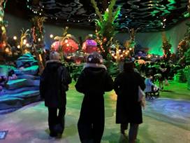 慌ただしい冬期休暇